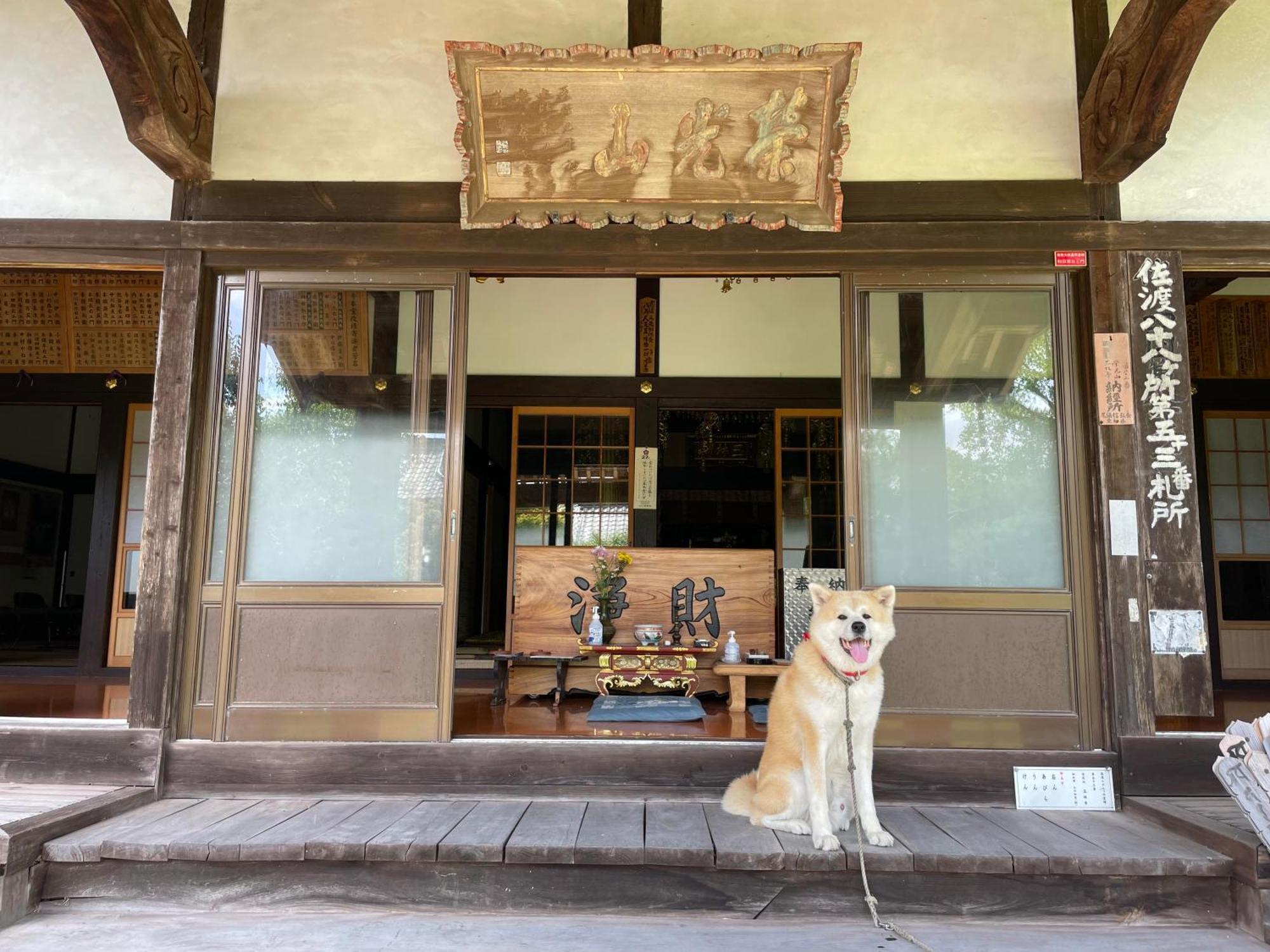 Temple Stay 玉林寺 Sado Exterior photo